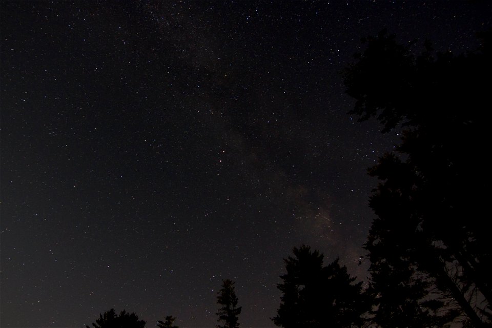 Faint Milky Way Over Trees photo