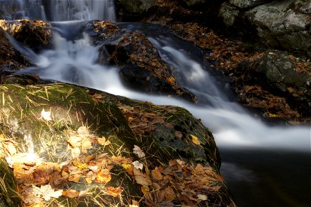 Running Water Over Rocks and Leaves photo