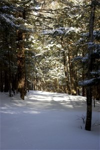 Winter Hiking Path photo