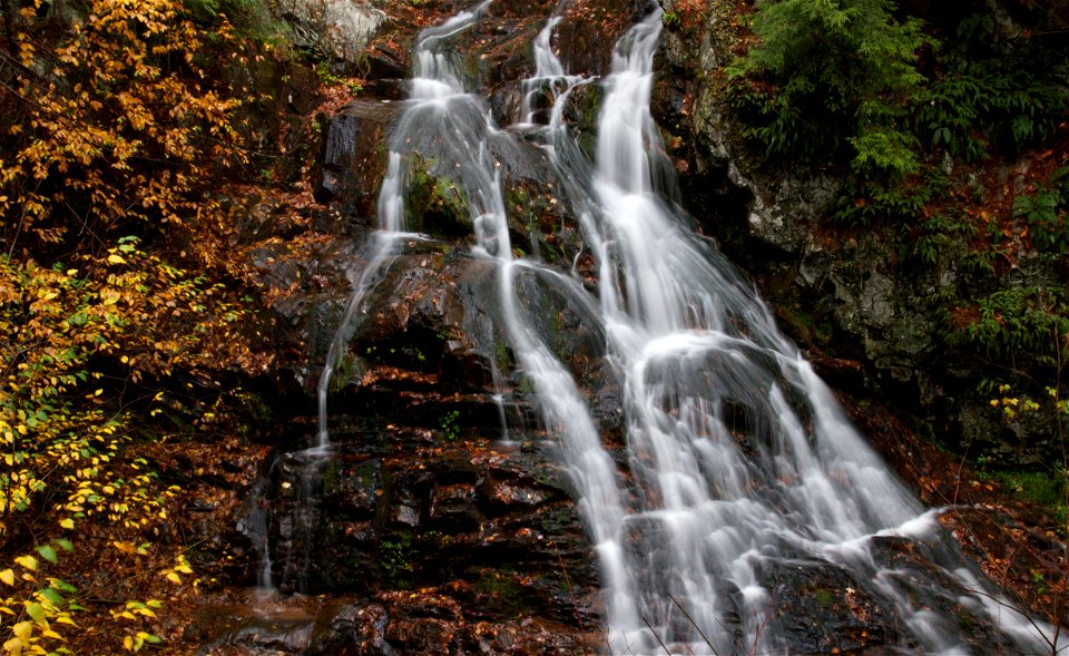 Stream Water and Fall Foliage photo