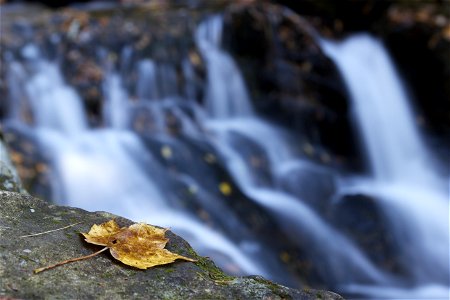 Fall Foliage and Flowing Water photo