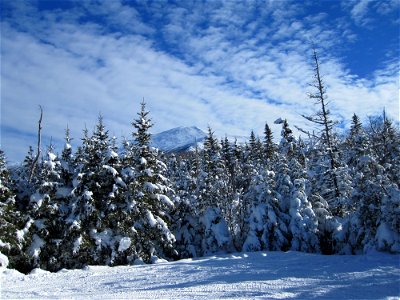 Picturesque Winter Scene photo