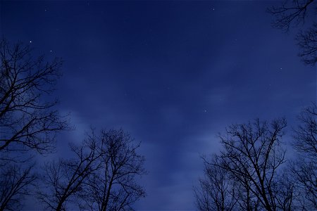 Starry Moonlit Sky photo