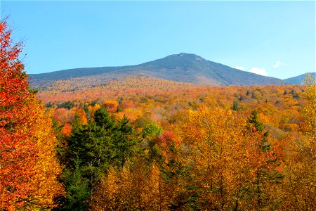 Fall Foliage Below Mountain photo