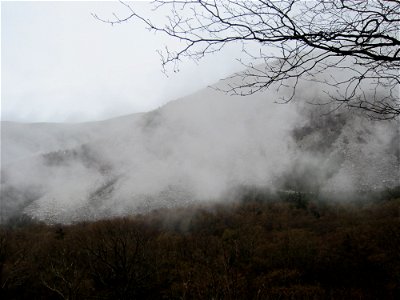 Misty Mountains and Trees photo
