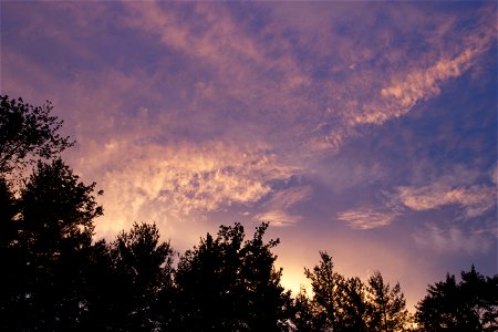 Sunset Clouds Over Trees photo