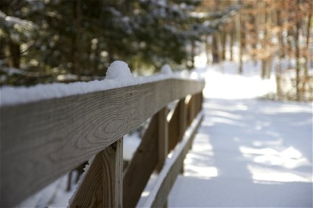 Fresh Snow on Hiking Path photo
