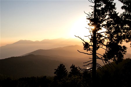 Sun Beyond Trees And Mountains photo