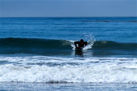 Surfer Belly Boarding On Small Waves photo