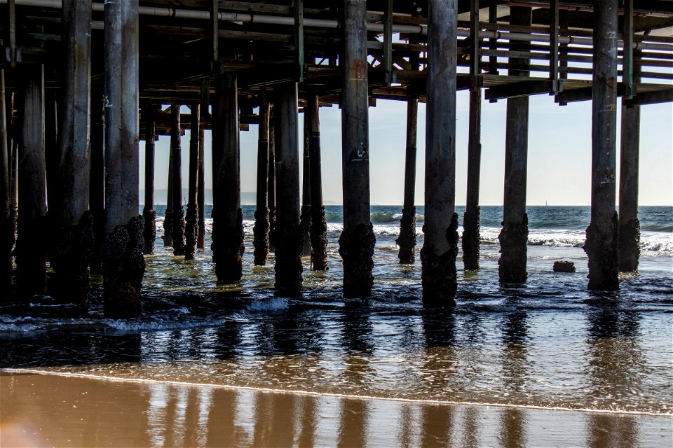 Pier Structure On Barnacle Covered Pilings