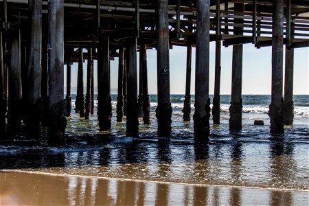 Pier Structure On Barnacle Covered Pilings