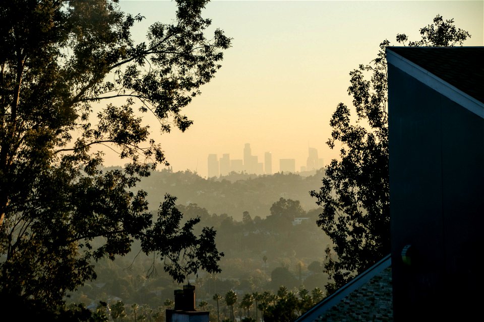 City Skyline Beyond Trees And Building Roofs photo