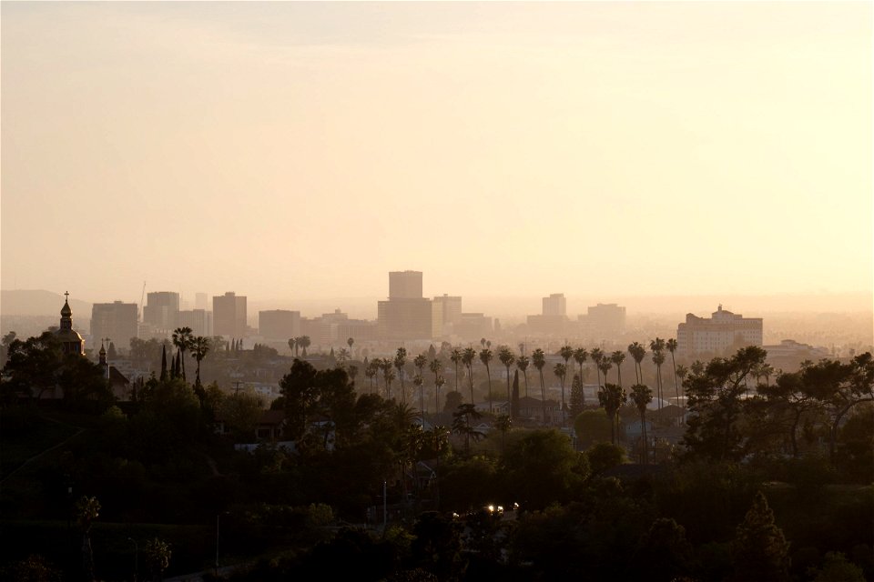 City Skyline Beyond Haze And Trees photo