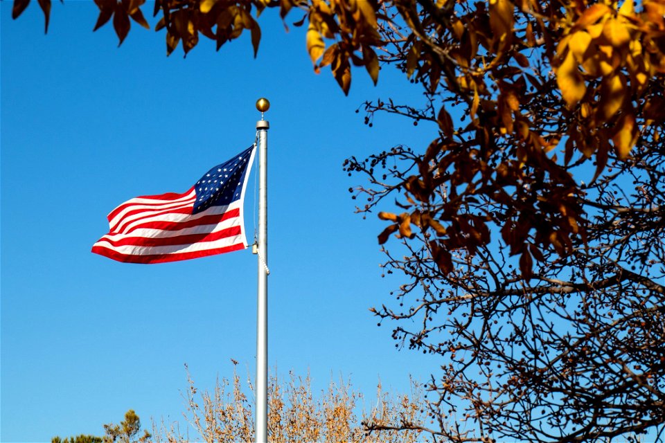 American Flag Near Trees