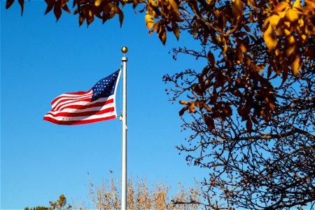 American Flag Near Trees photo