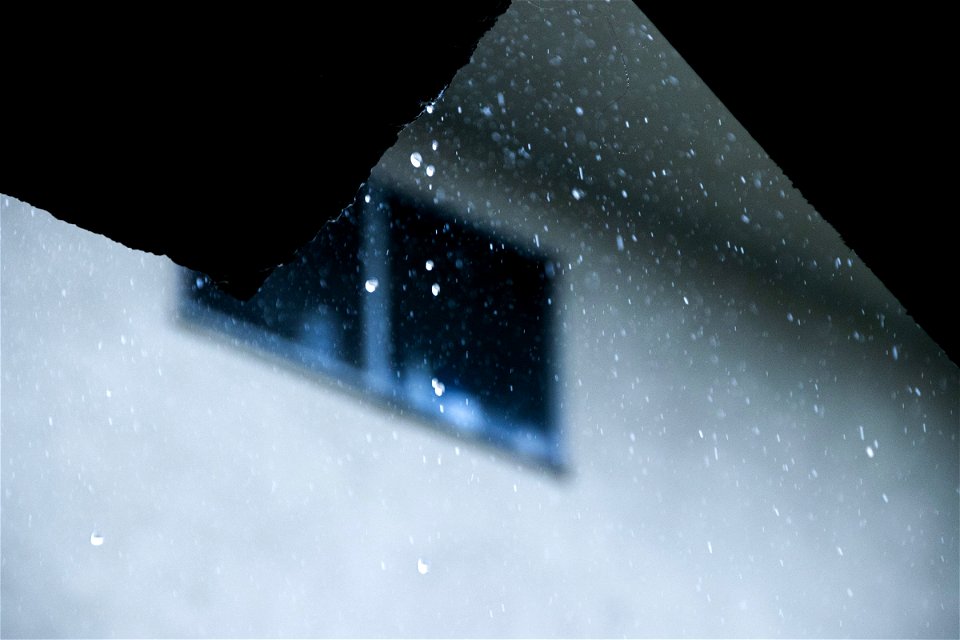Dripping Rain Droplets Against Blurry Background