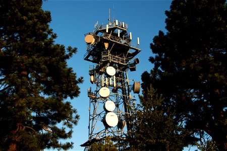 Antennas On Radio Tower Beyond Trees photo