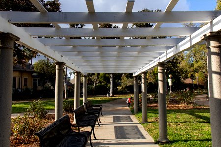 Iron Benches Under Park Pergola