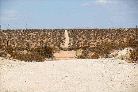 Wide Dirt Path In Desert photo