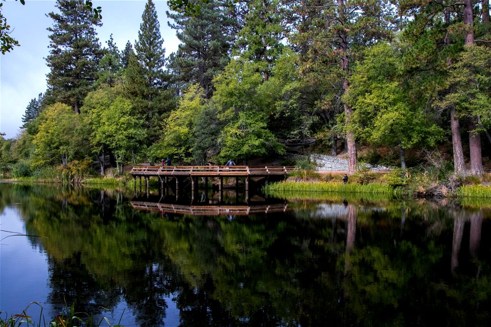 Wooden Deck Overlooking Forest Lake photo