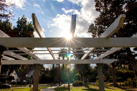 Sunrays Through Structure In Park