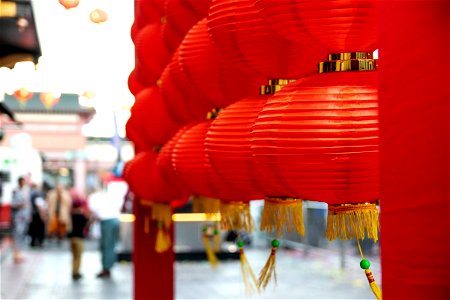 Rows Of Traditional Red Paper Lanterns photo