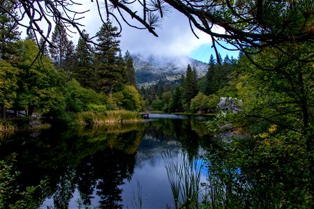 Placid Large Body Of Water In Forest photo