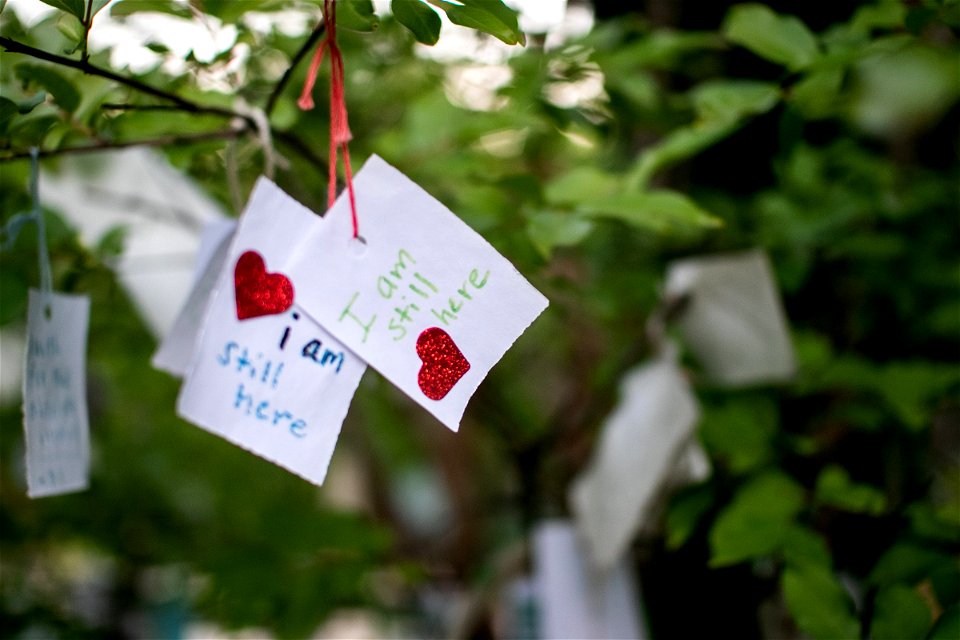 Paper Notes Hung From Branches photo