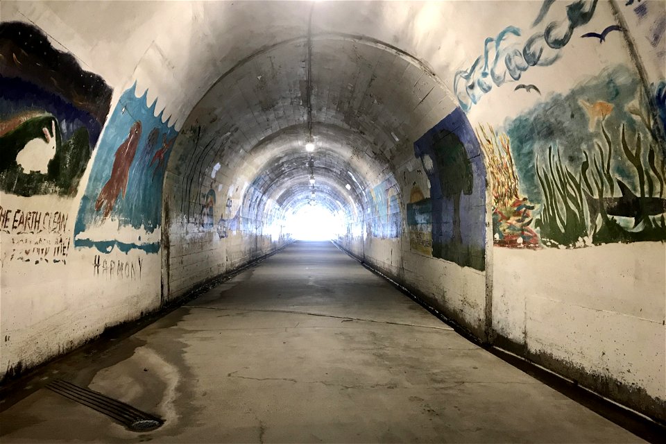 Different Murals In Arch Shaped Tunnel