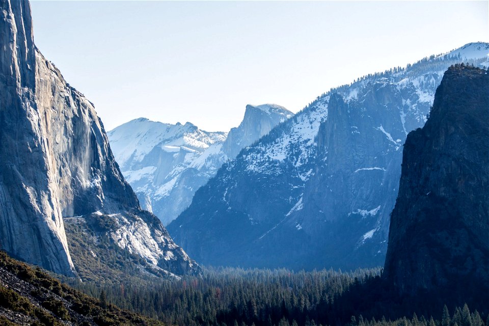Forest Valley Between Jagged Mountains