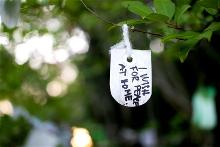 Wish On Piece Of Paper On Branch photo