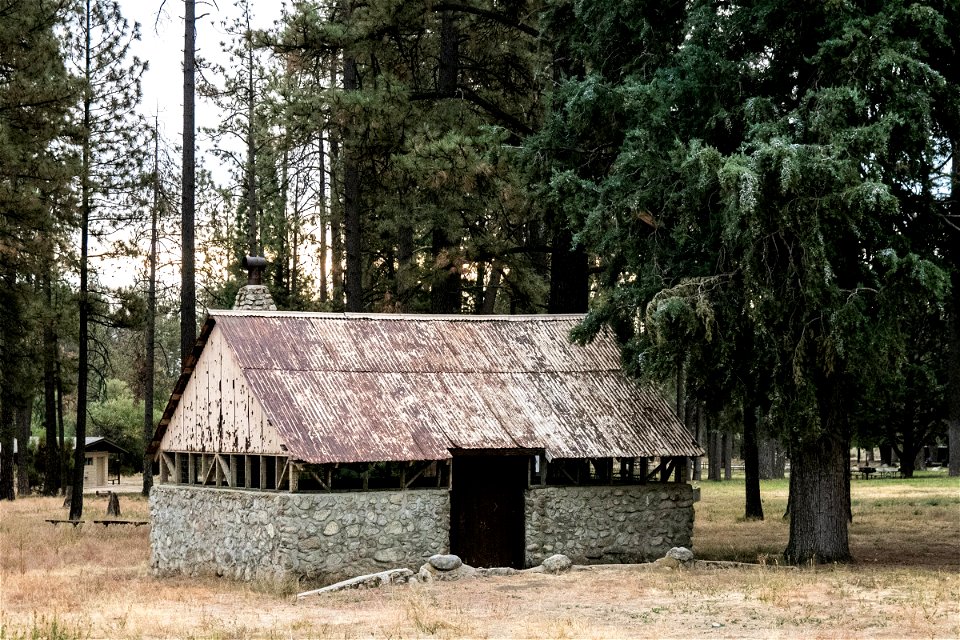 Cabin Between Trees In Forest