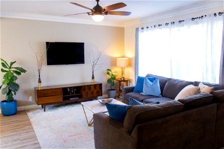 Sunlit Cozy Living Room photo