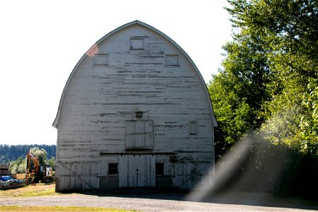 White Gothic Arch Barn Near Trees photo