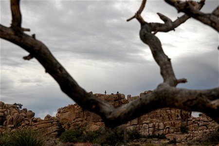 Rock Formations Behind Tree Branch photo