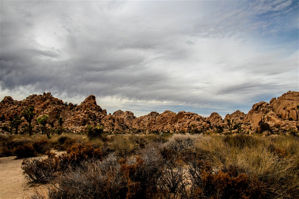 Rocky Hills Behind Desert Bushes photo