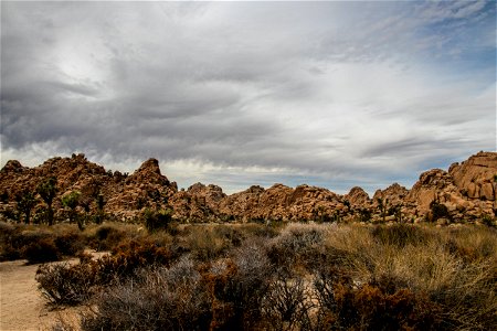 Rocky Hills Behind Desert Bushes photo