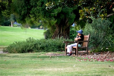 Woman Sitting On Wooden Bench In Park photo