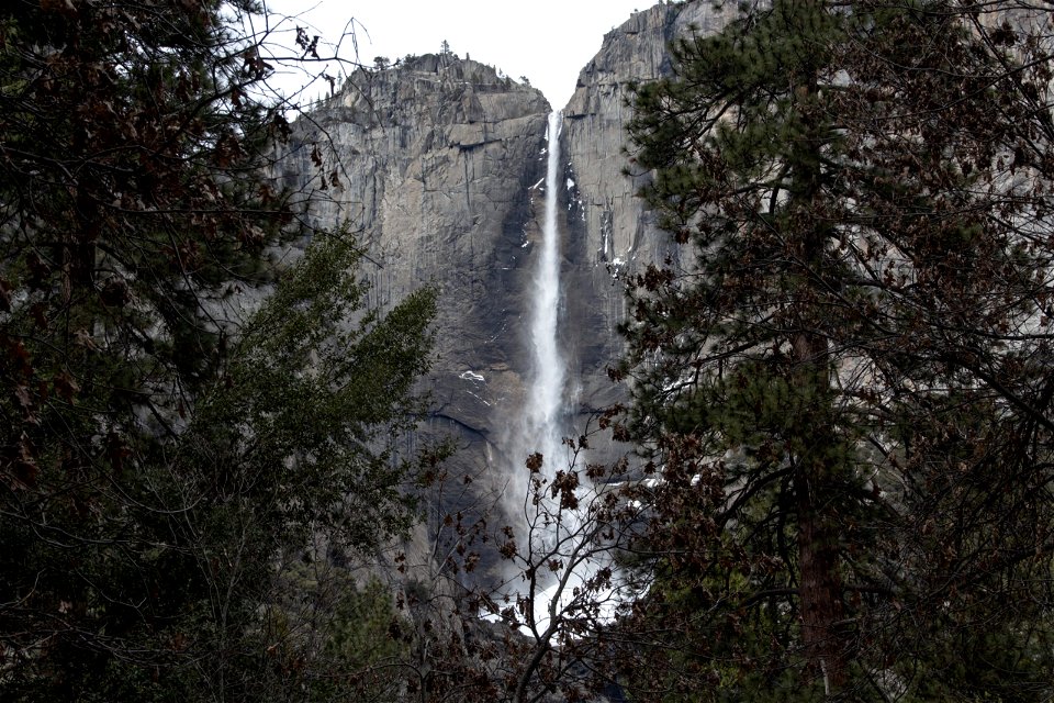 Narrow Cliff Waterfall Behind Trees photo