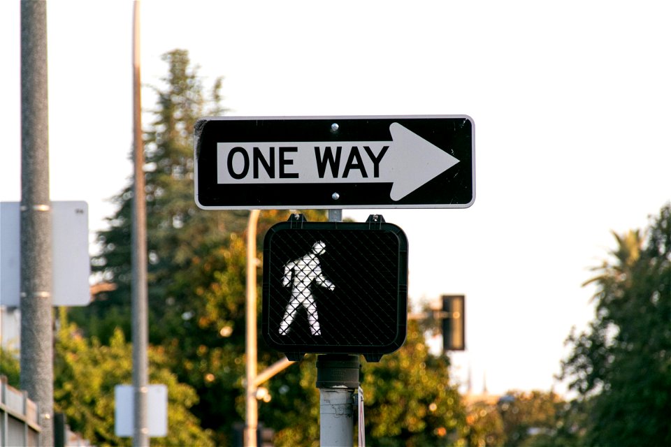 One Way And Crosswalk Signs Against Trees