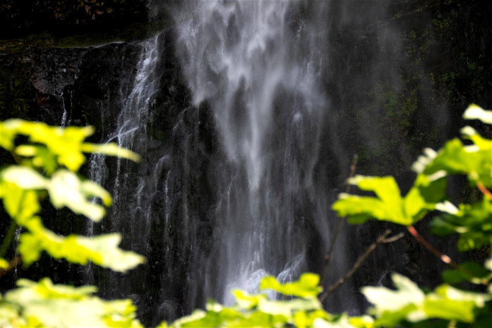 Spray Of Waterfall Cascade Behind Leaves photo