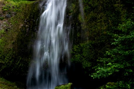 Small Misty Waterfall On Mossy Cliff photo
