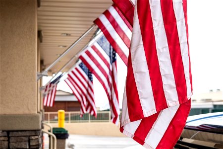 Hanging American Flags On Metal Poles photo