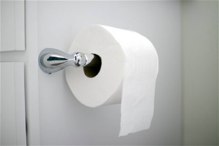 Toilet Paper Roll On Mounted Holder photo