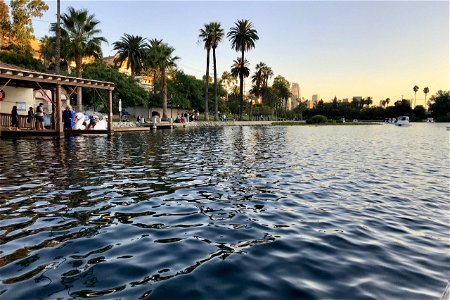 Water In Echo Park Lake photo