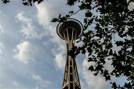 Space Needle Tower Through Tree Leaves photo