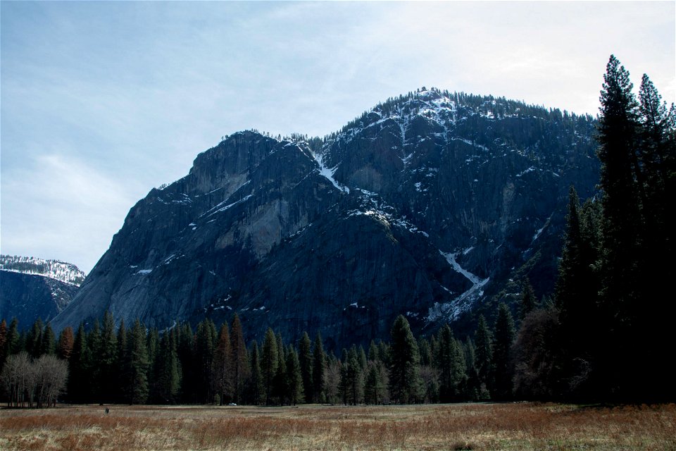 Large Ice Capped Mountains Behind Coniferous Forest photo