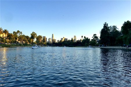 Los Angeles Skyline Behind Paddle Boats On Echo Park Lake