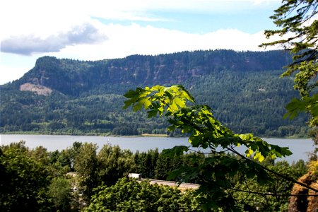 Large Water Body And Mountains Behind Branch photo
