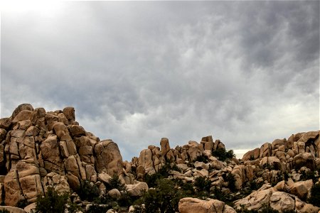 Rock Formations And Plants Against Cloudy Sky